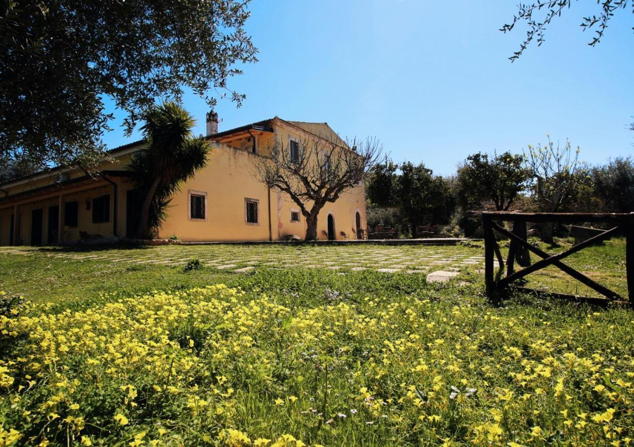 Masseria Procacci Ischitella Exterior foto